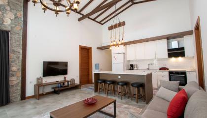 Açık Mutfak - Salon